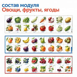 Наше сельское хозяйство с РобоМышью (6 модулей с системой хранения)