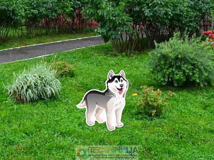 Уличная фигура "Хаска"