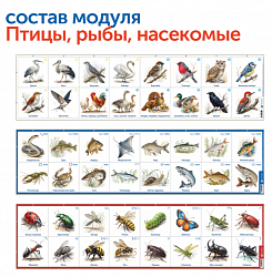MS0104 Природные богатства России с РобоМышью с системой хранения (4 робота)