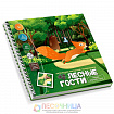Игра магнитная головоломка «Лесные гости. Найди верный путь»
