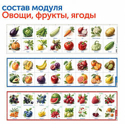 MS0104 Природные богатства России с РобоМышью с системой хранения (4 робота)