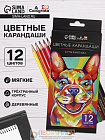 Карандаши , 12 цветов, супермягкие, диаметр грифеля 3 мм
