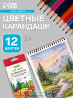 Карандаши цветные 12 цветов Hatber Mate пластиковые, с европодвесом